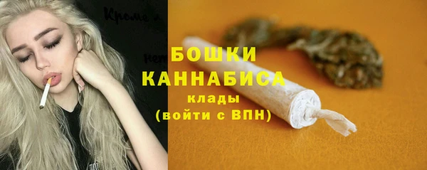 СК Аркадак