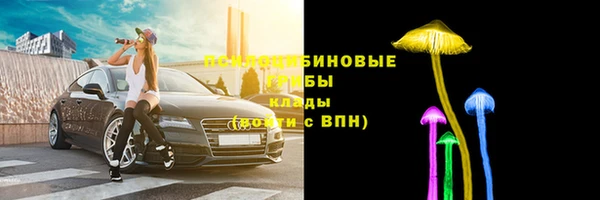 СК Аркадак