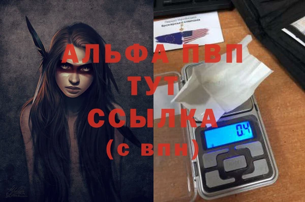 СК Аркадак